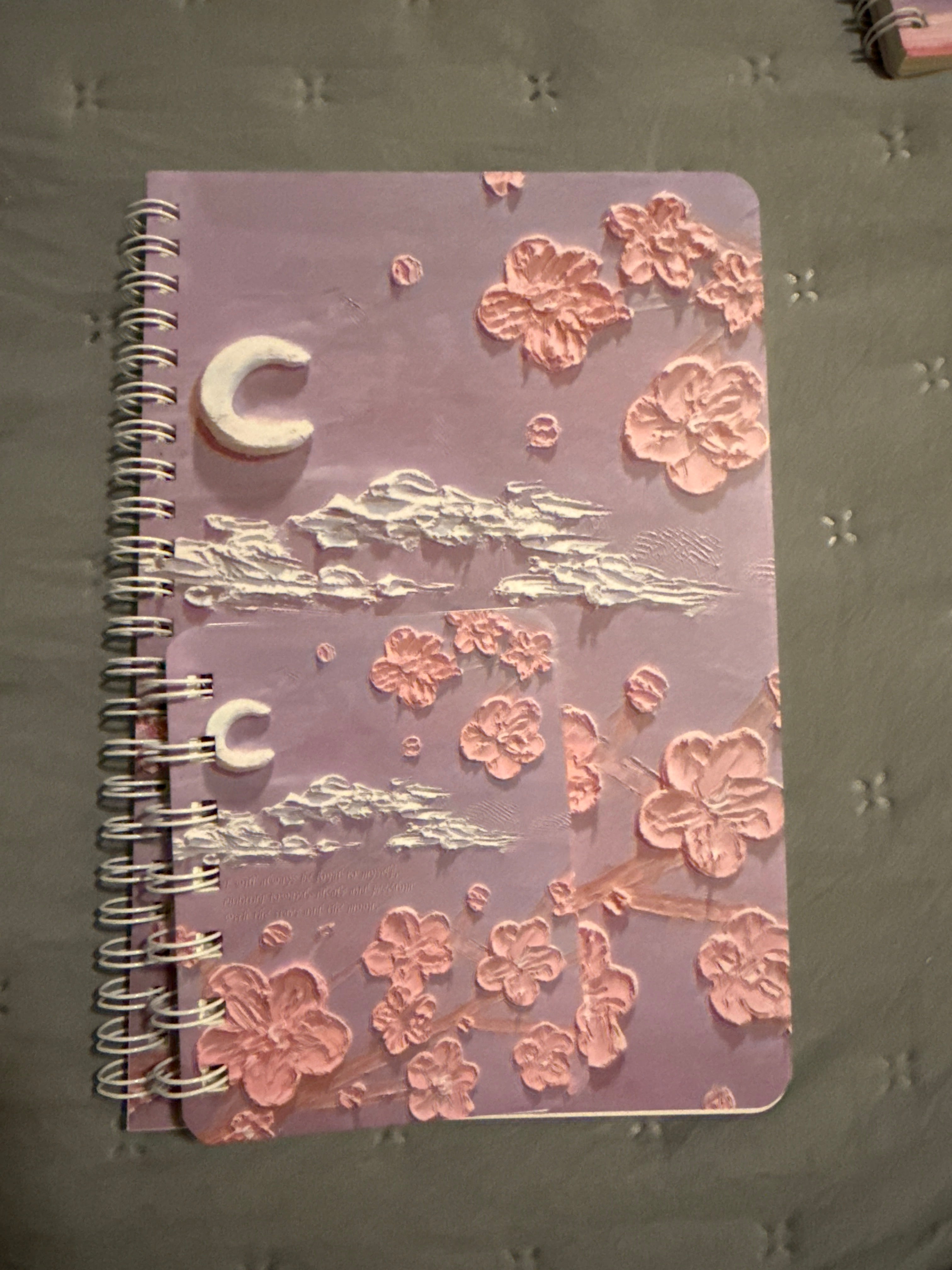 Mommy and me journals